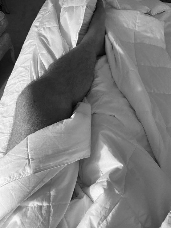 MileHigh79 tweet media