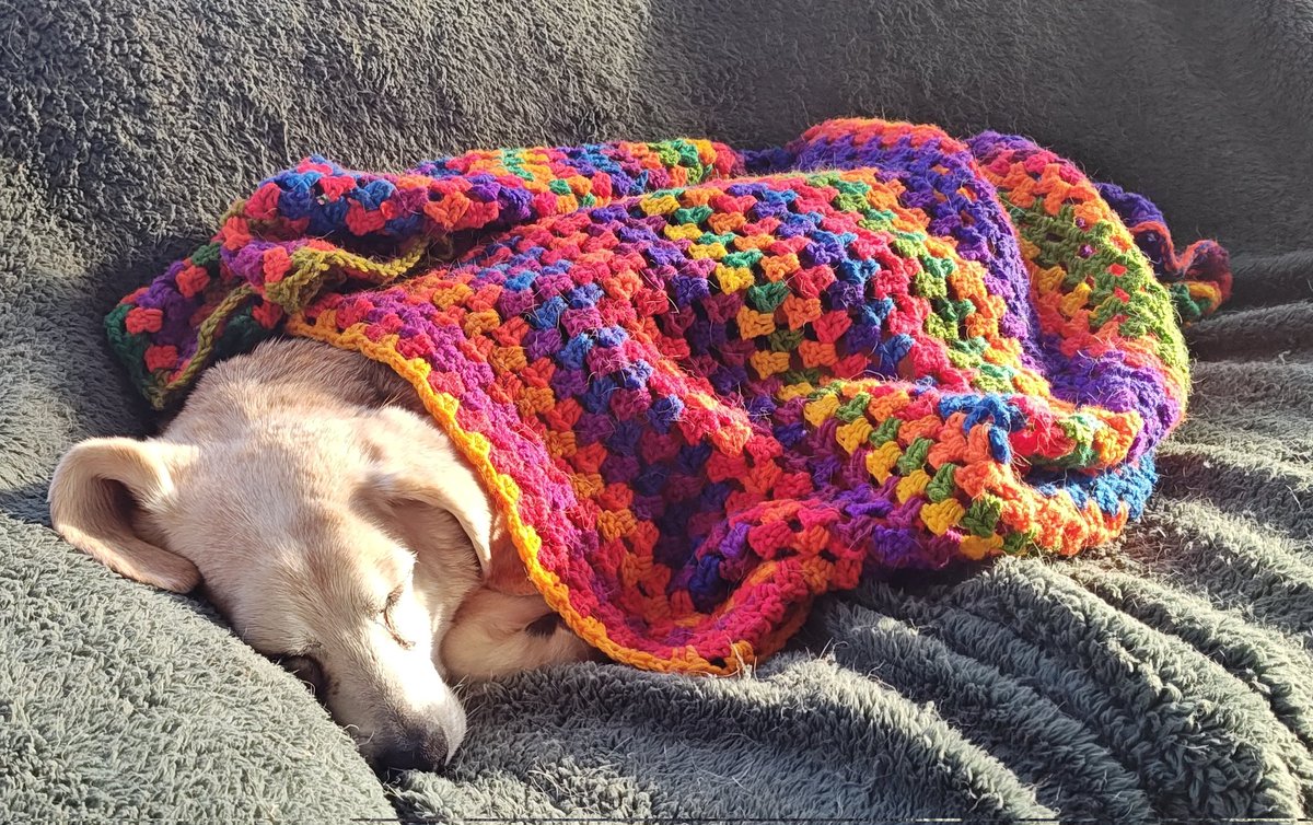 Ferguson y Jasper tweet media