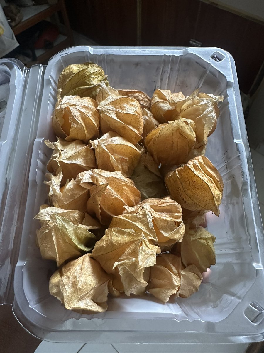 Anthony. tweet media