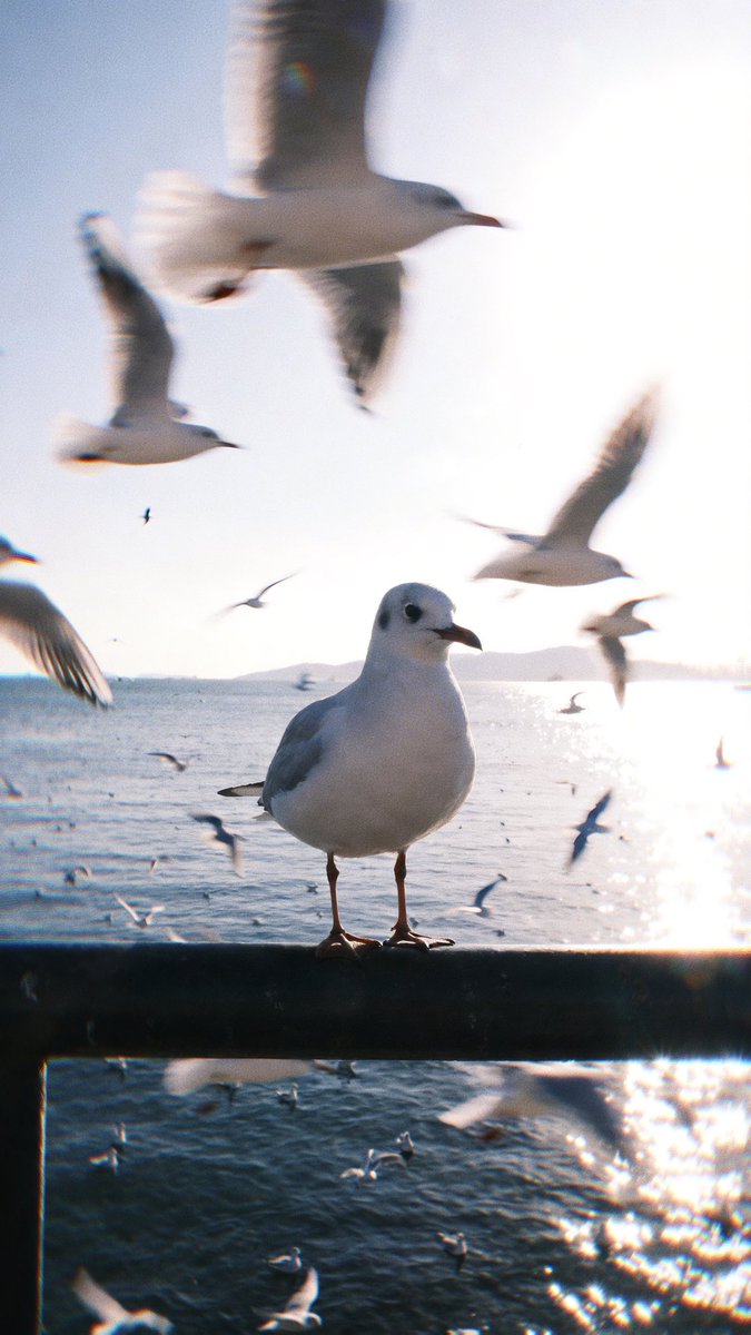 SYRONG✨ tweet media