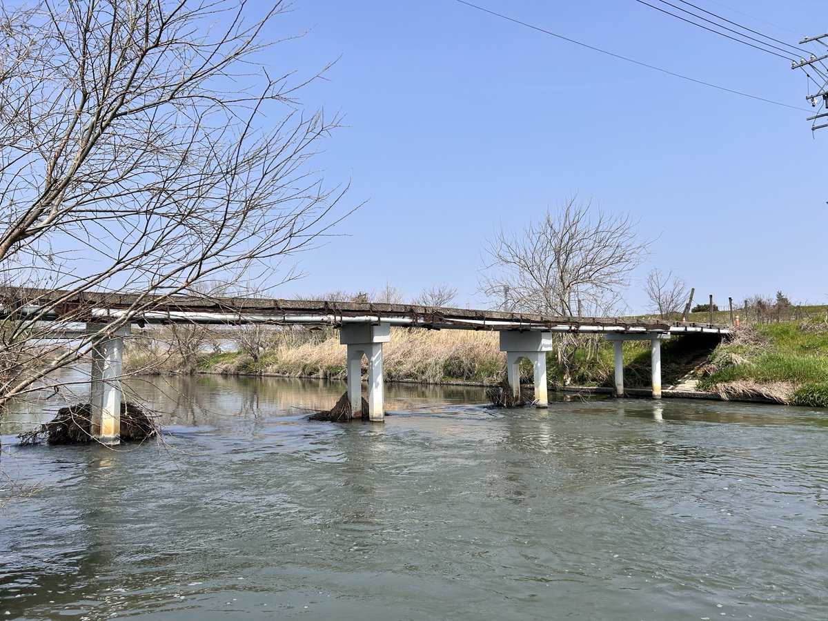 かみしたともや tweet media