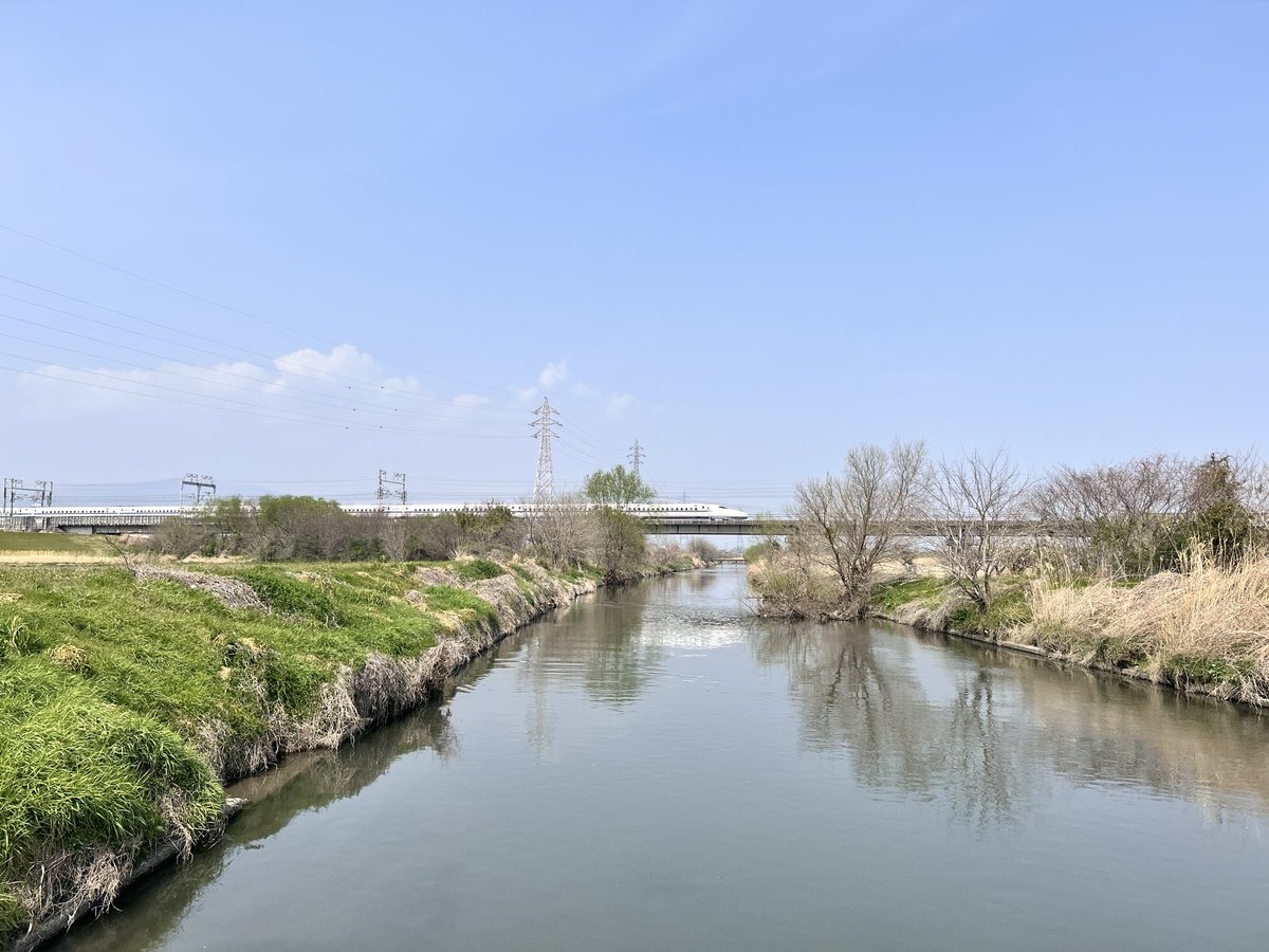 かみしたともや tweet media