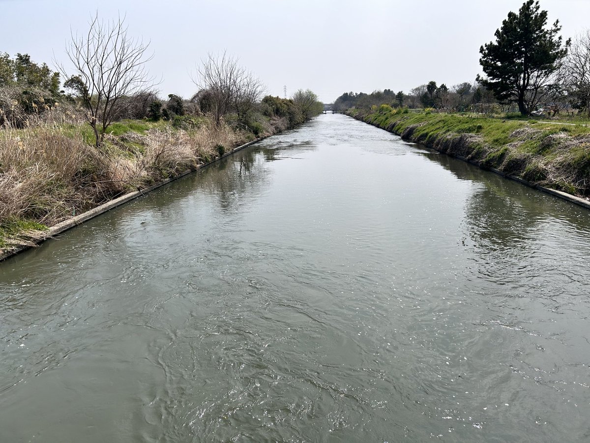 かみしたともや tweet media