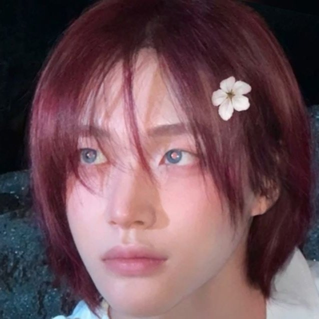 dudica 🦕 tweet media