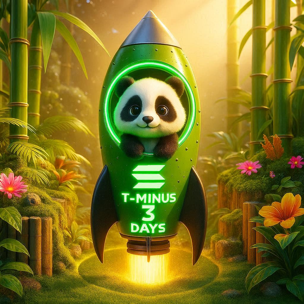 PandyOnSol tweet media