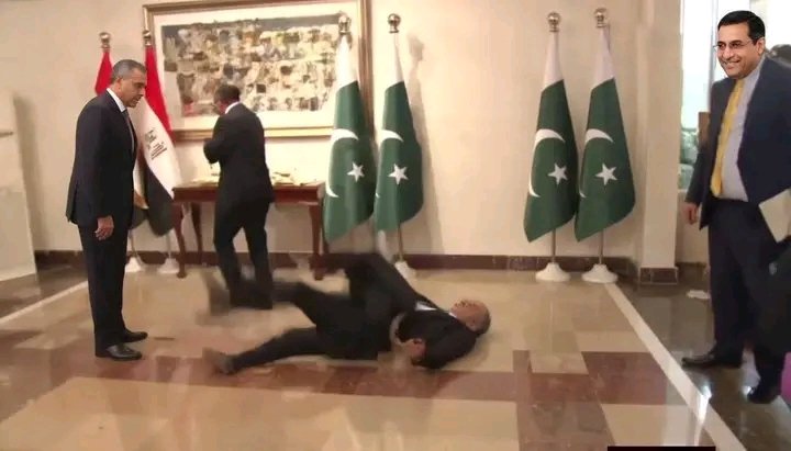 Dananeer Mirza tweet media