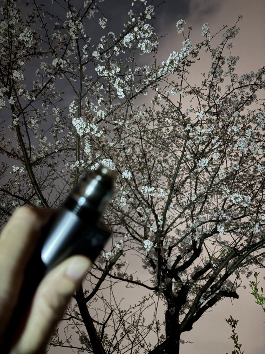 べぷ虎🐯_Vaping Tiger tweet media