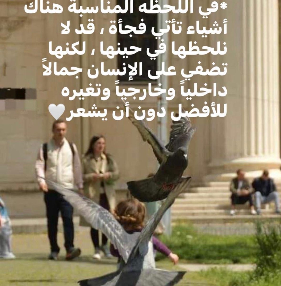 Zaina usa.con🇰🇼 tweet media