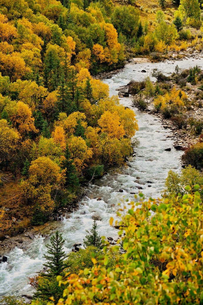 Duck Duck tweet media