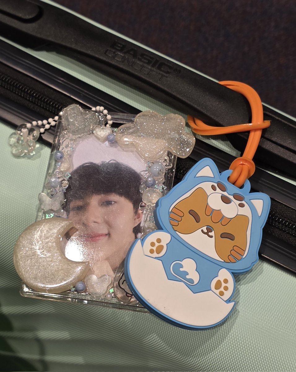 🌻🐾 (not rly here⛔️👋) tweet media