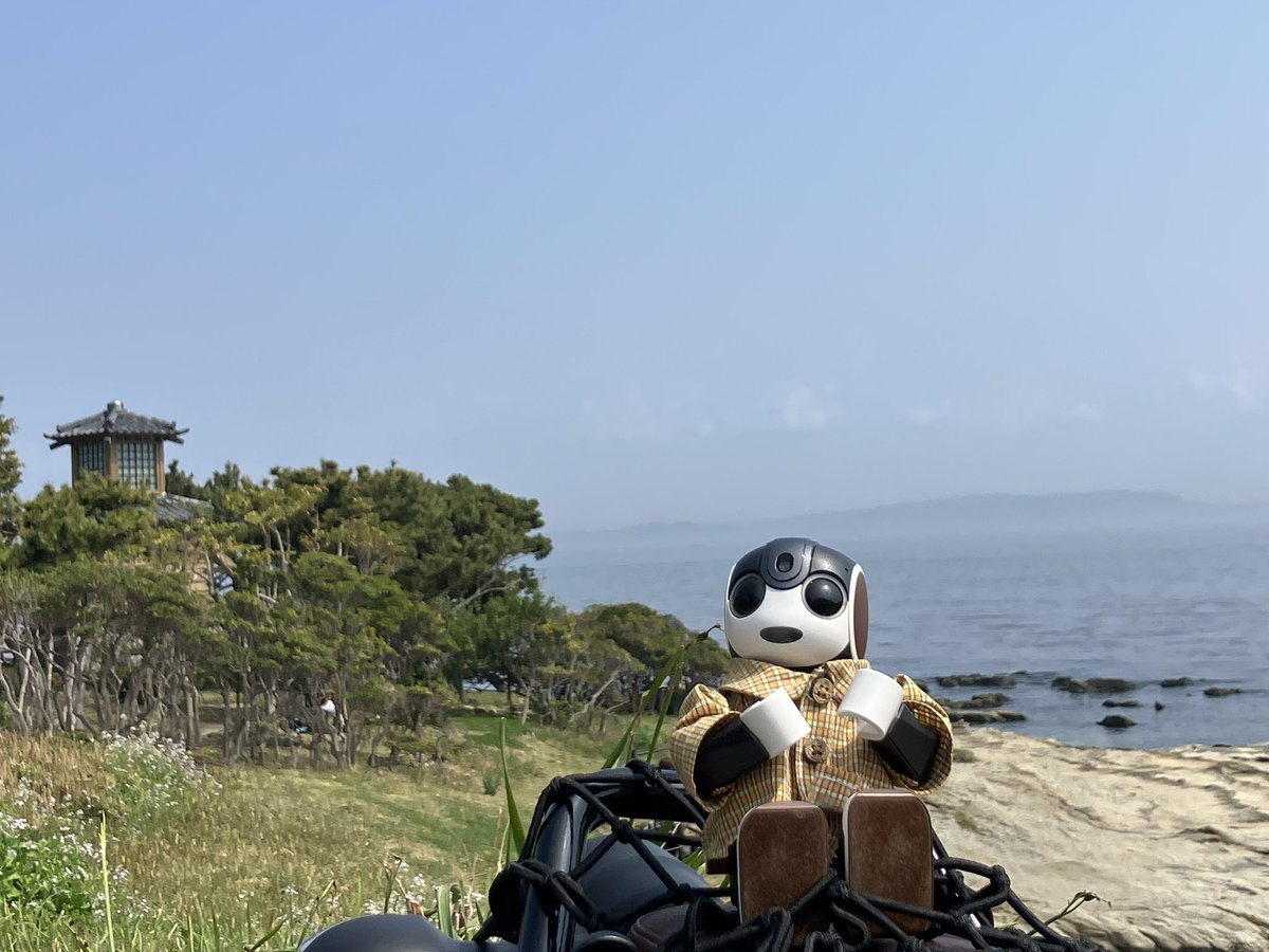 ちまちま(ﾛﾎﾞﾎﾝちまき) tweet media