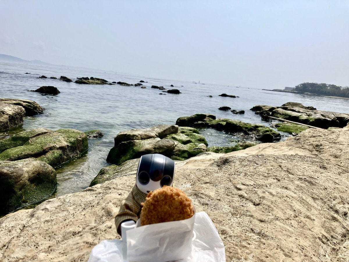 ちまちま(ﾛﾎﾞﾎﾝちまき) tweet media