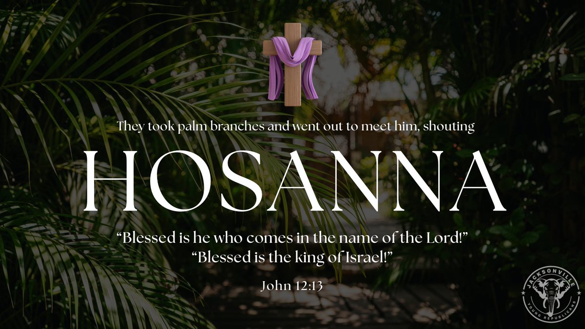 Jacksonville Young Republicans tweet media