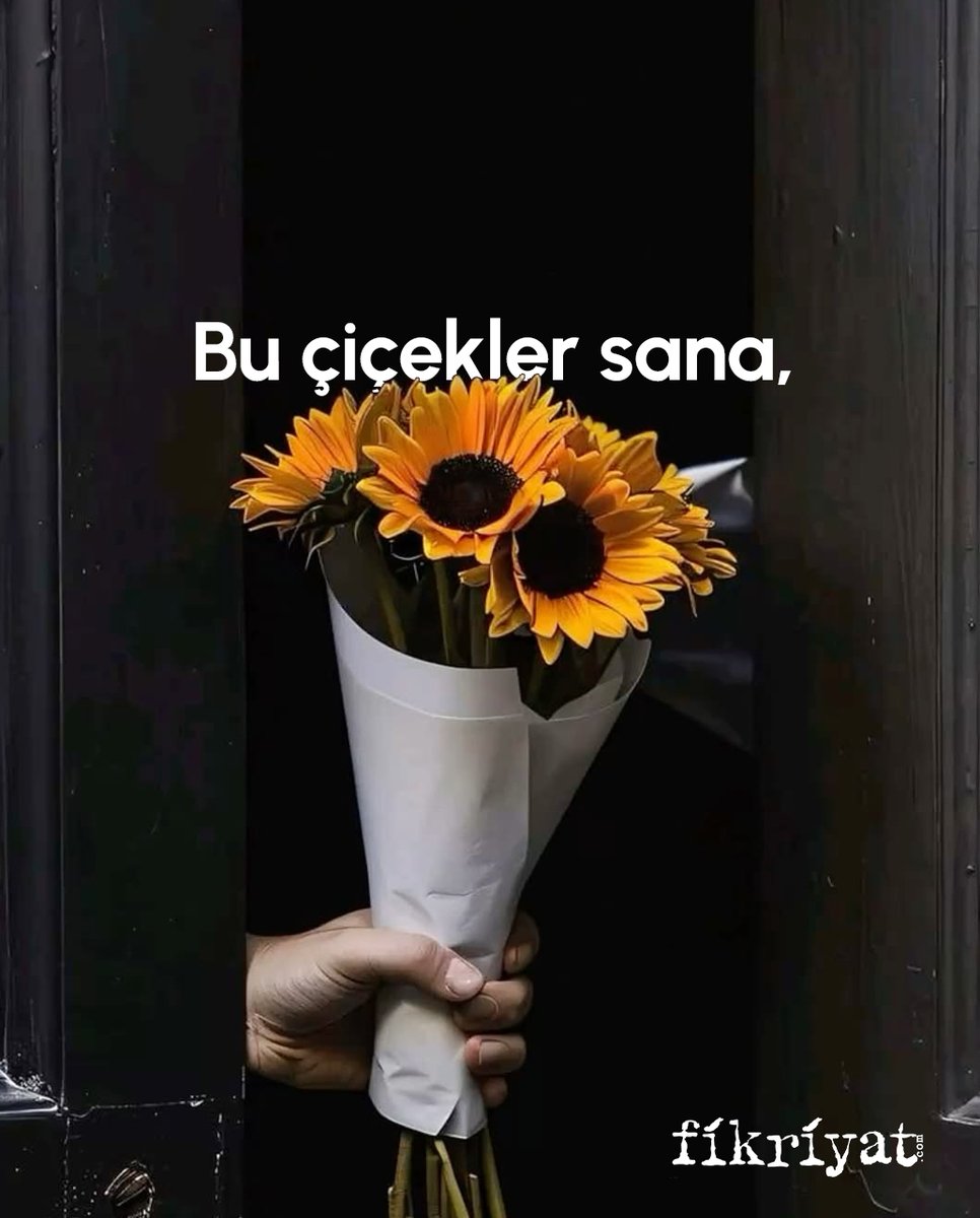 fikriyatcom's tweet photo. Sevgili dost, bu çiçekler sana💐❤️‍🩹 https://t.co/ZVB9xtfHLk