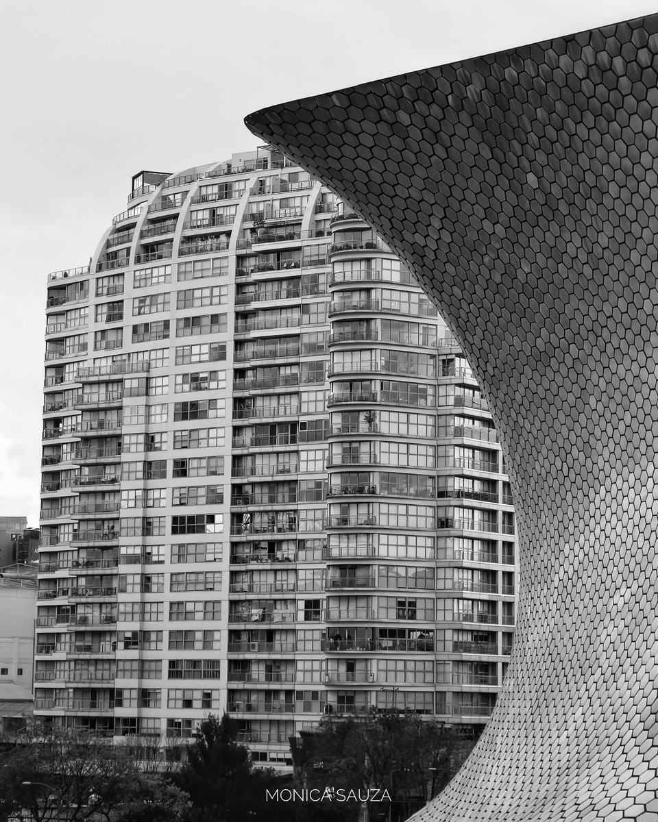 mosave_87's tweet photo. Me besó sin pedir
permiso y a mí
me pareció
la gloria.
Le devolví el beso
con hambre atrasada.
Mario Benedetti
📷 IG: monicasauza
#cdmx #museosoumaya #bnwphotography #architecturephoto https://t.co/kPv93JAVxd