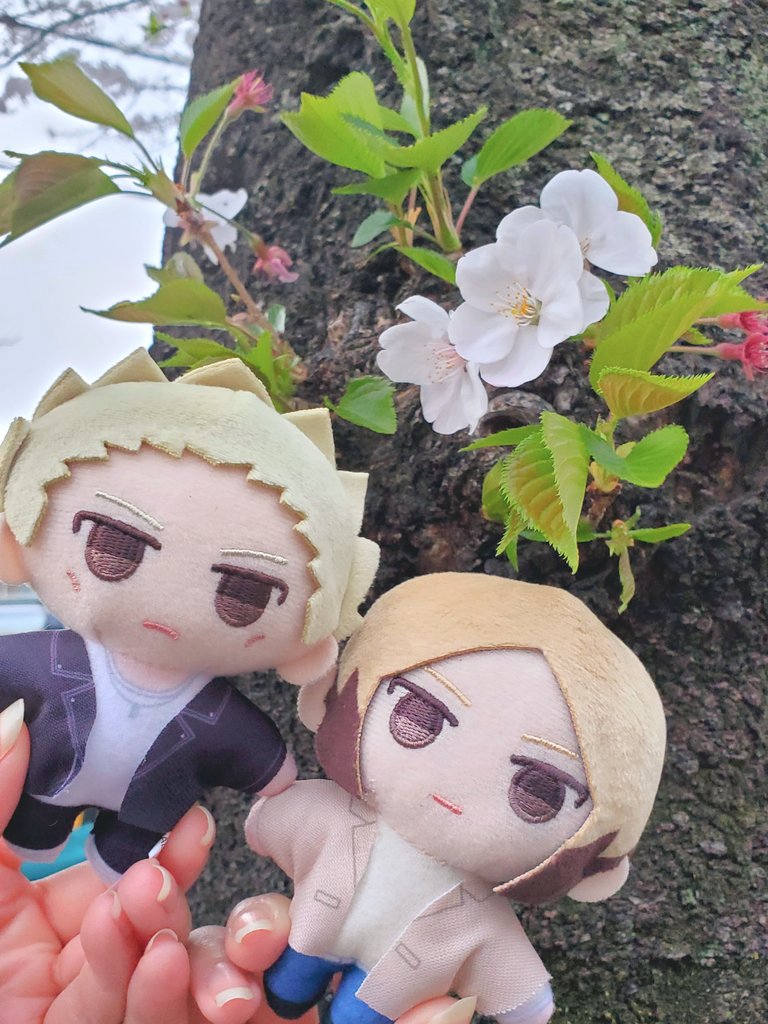 からす原稿中 tweet media