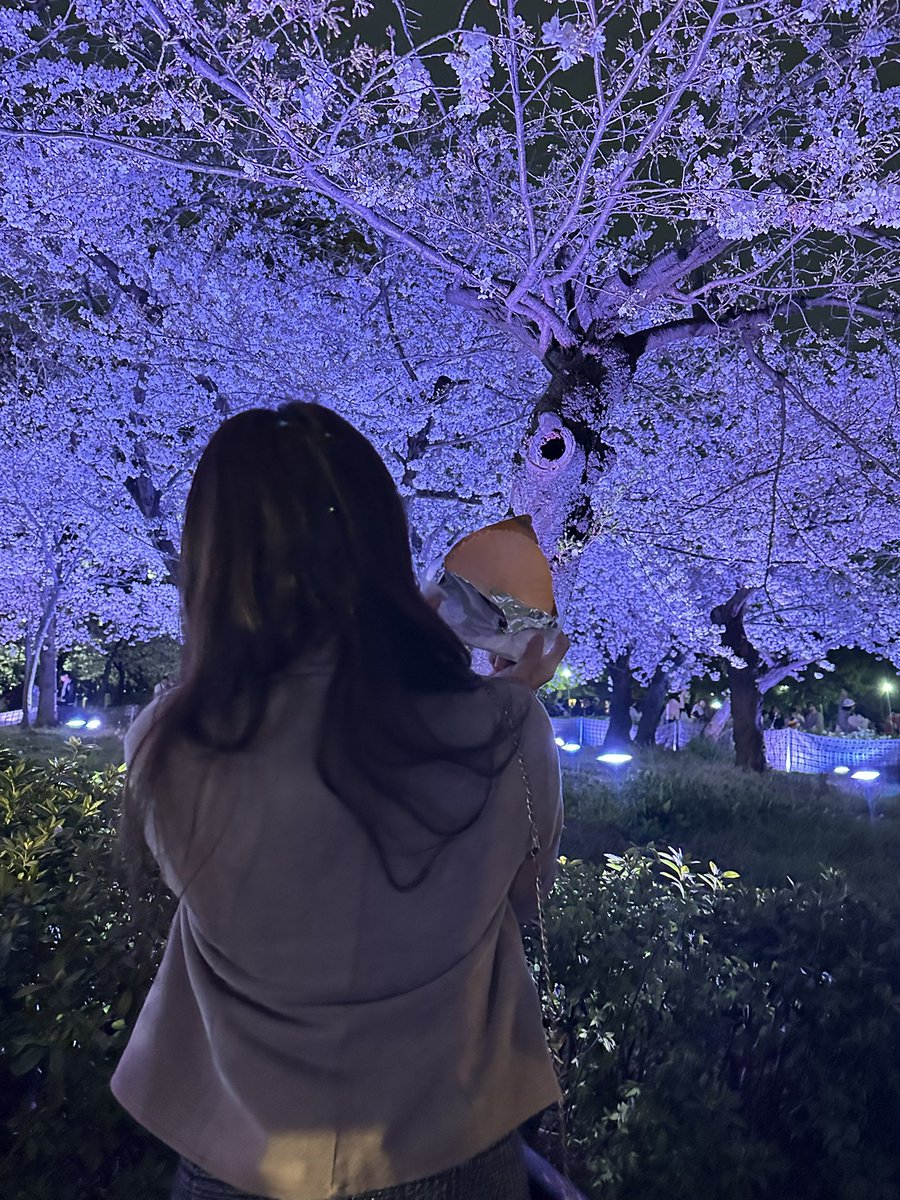 はむち🐹 tweet media