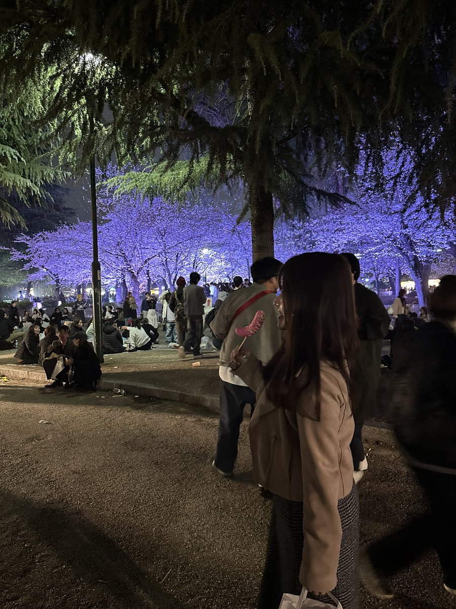 はむち🐹 tweet media