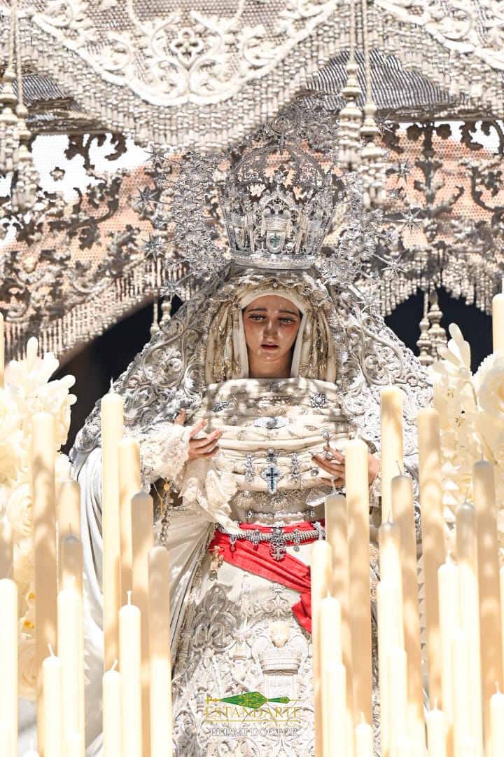 Estandarte de Sevilla tweet media