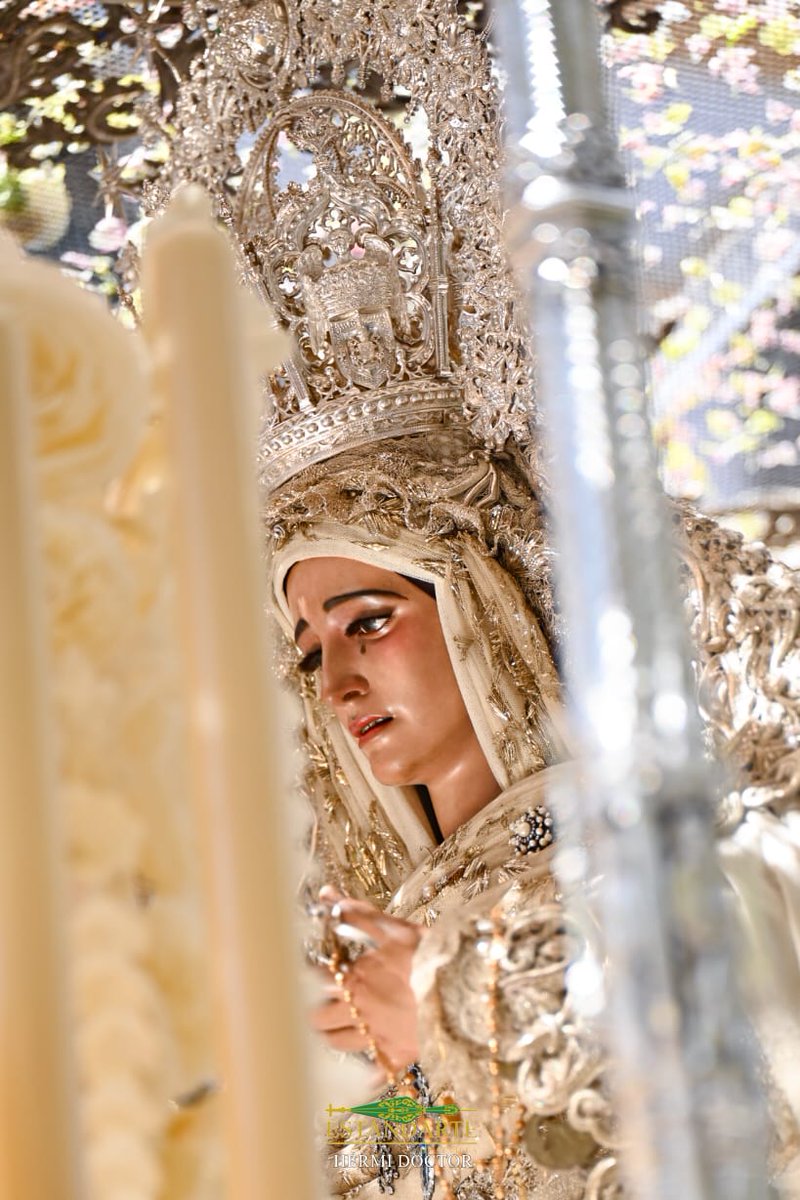 Estandarte de Sevilla tweet media