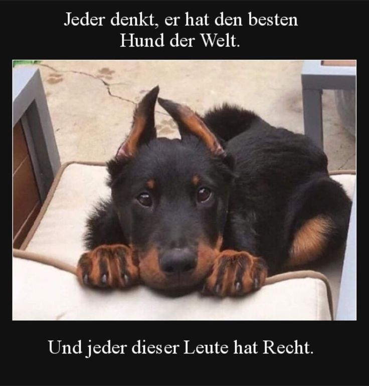 Janne (ne ne ne)👀 tweet media