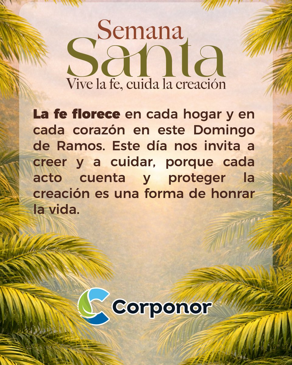 CORPONOR tweet media