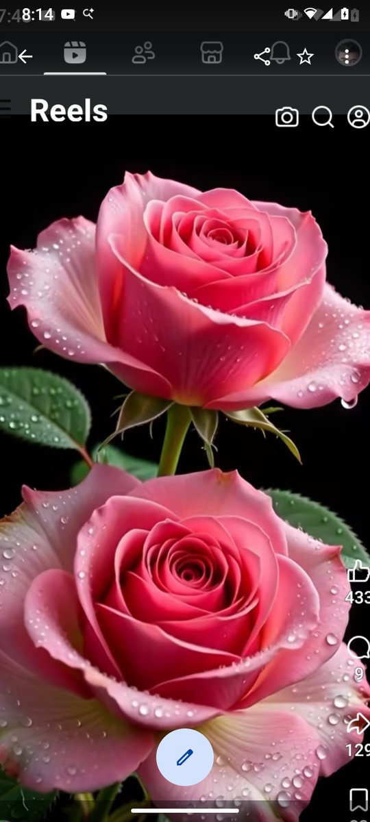 Luis granate tweet media