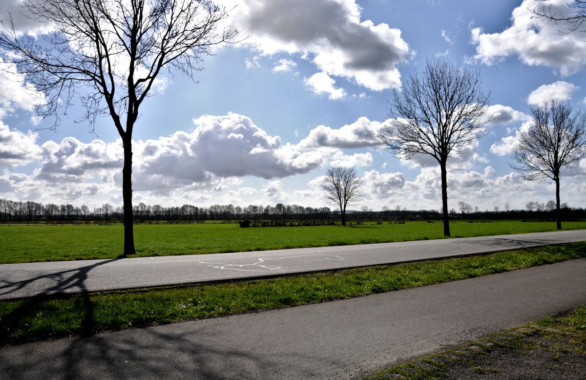 Ronald Puma tweet media