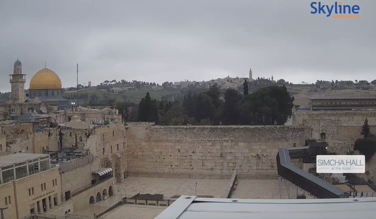 Filipp Piatov tweet media