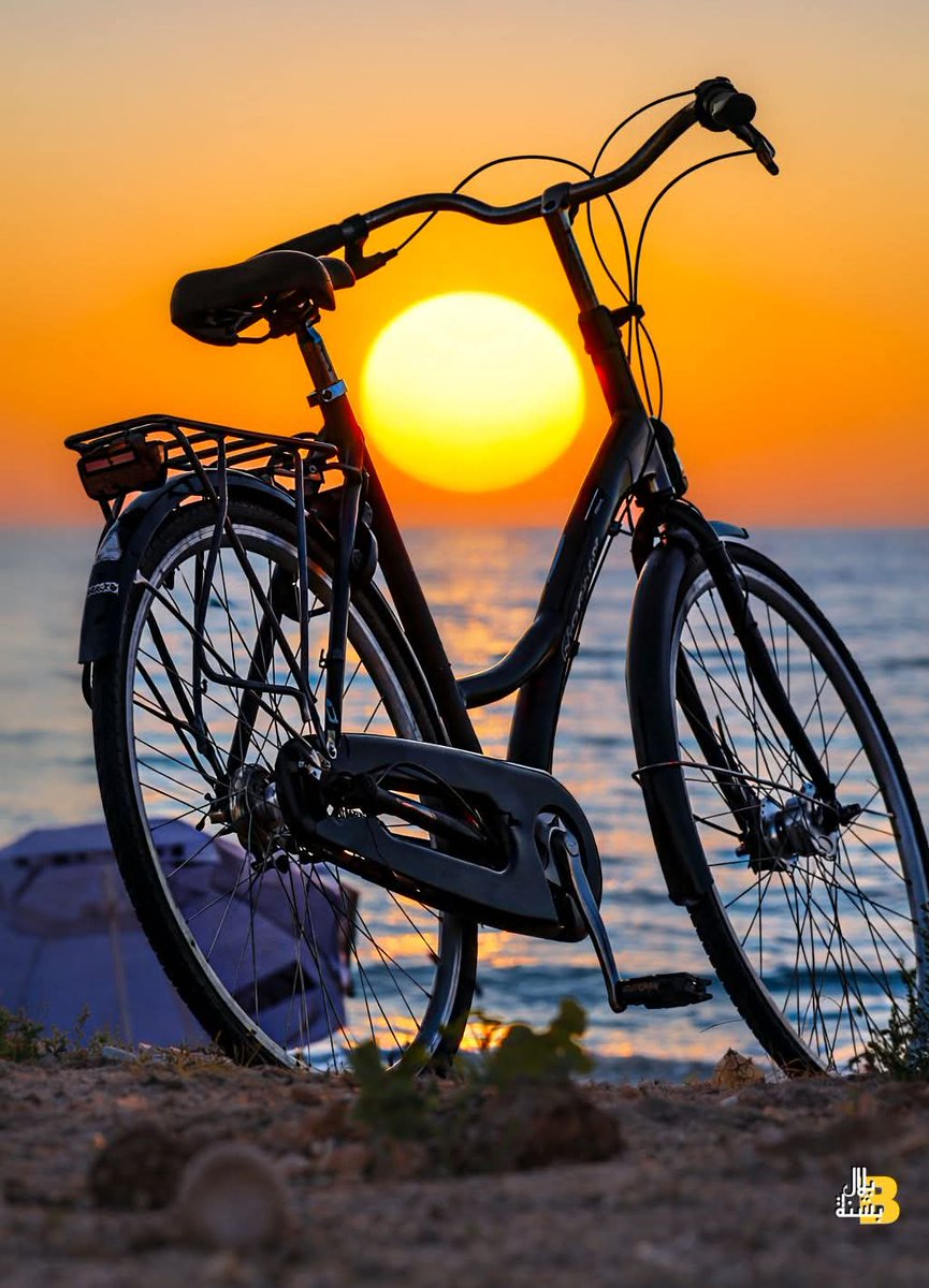 الجزائر المحمية بالله 🇩🇿 tweet media