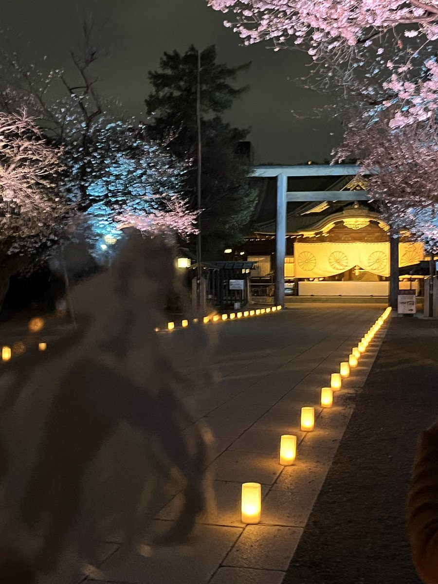 kamΦωΦ tweet media