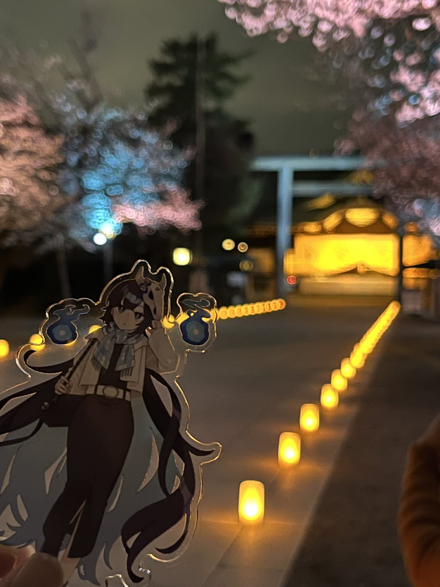 kamΦωΦ tweet media