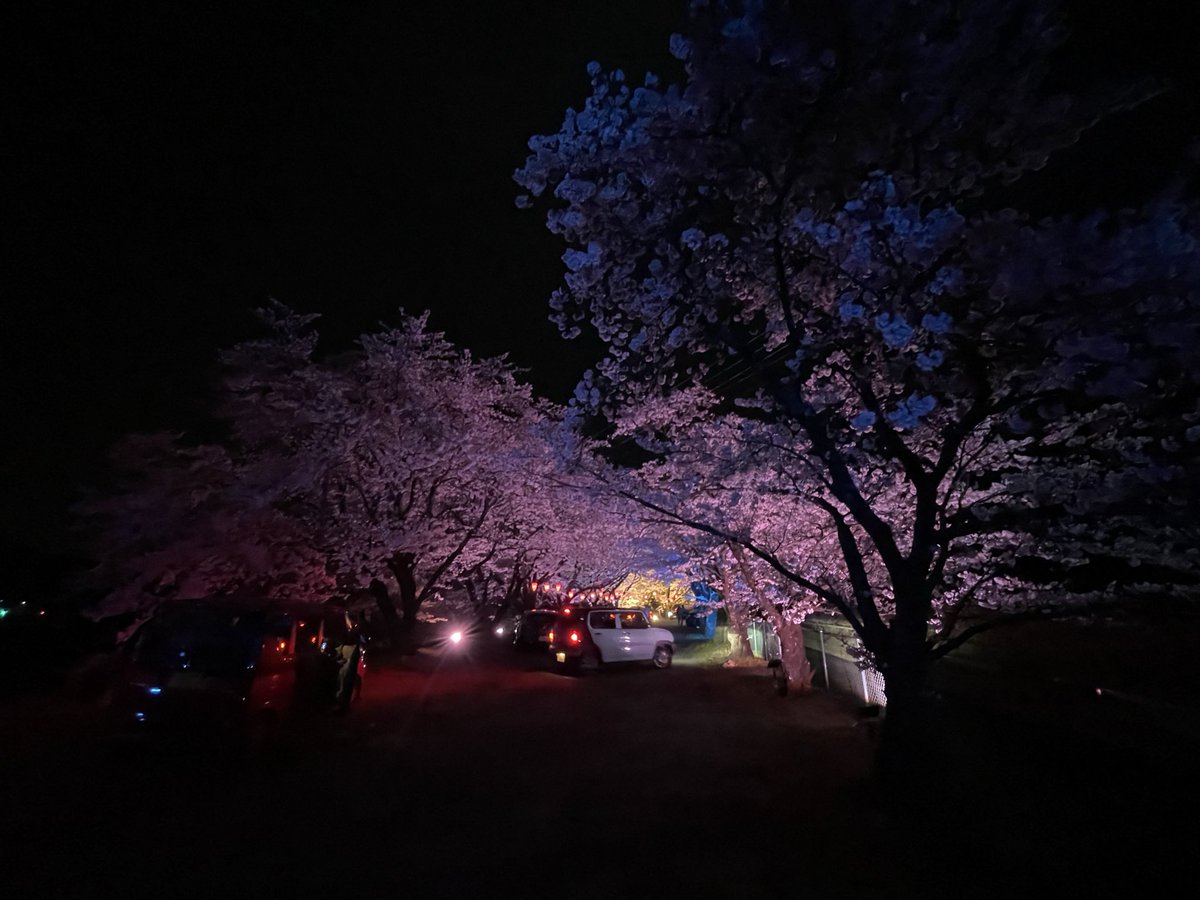 PuddingToofu tweet media