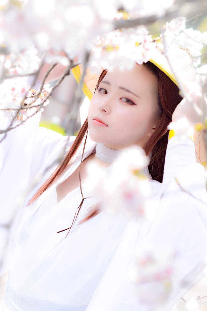 西園寺 🏷️ tweet media