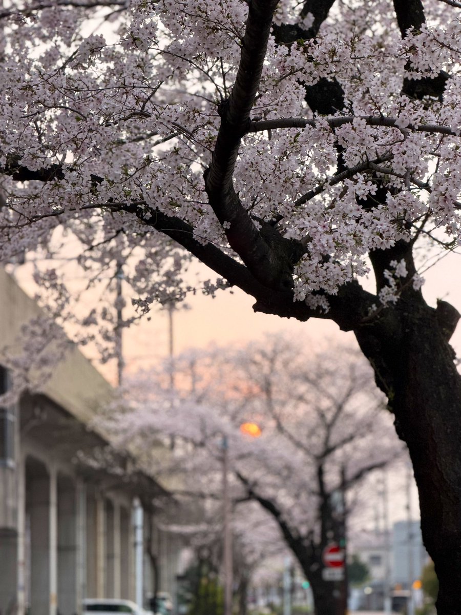 でぃさぶ tweet media