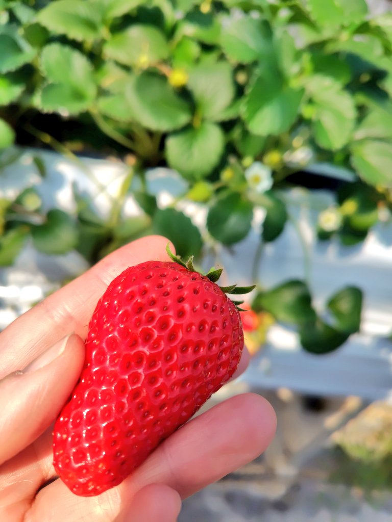 澄🍏🕯️🎖️ tweet media