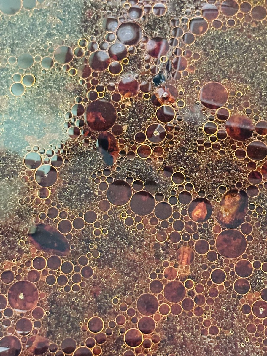 Sebastian Baumer 🍃 tweet media