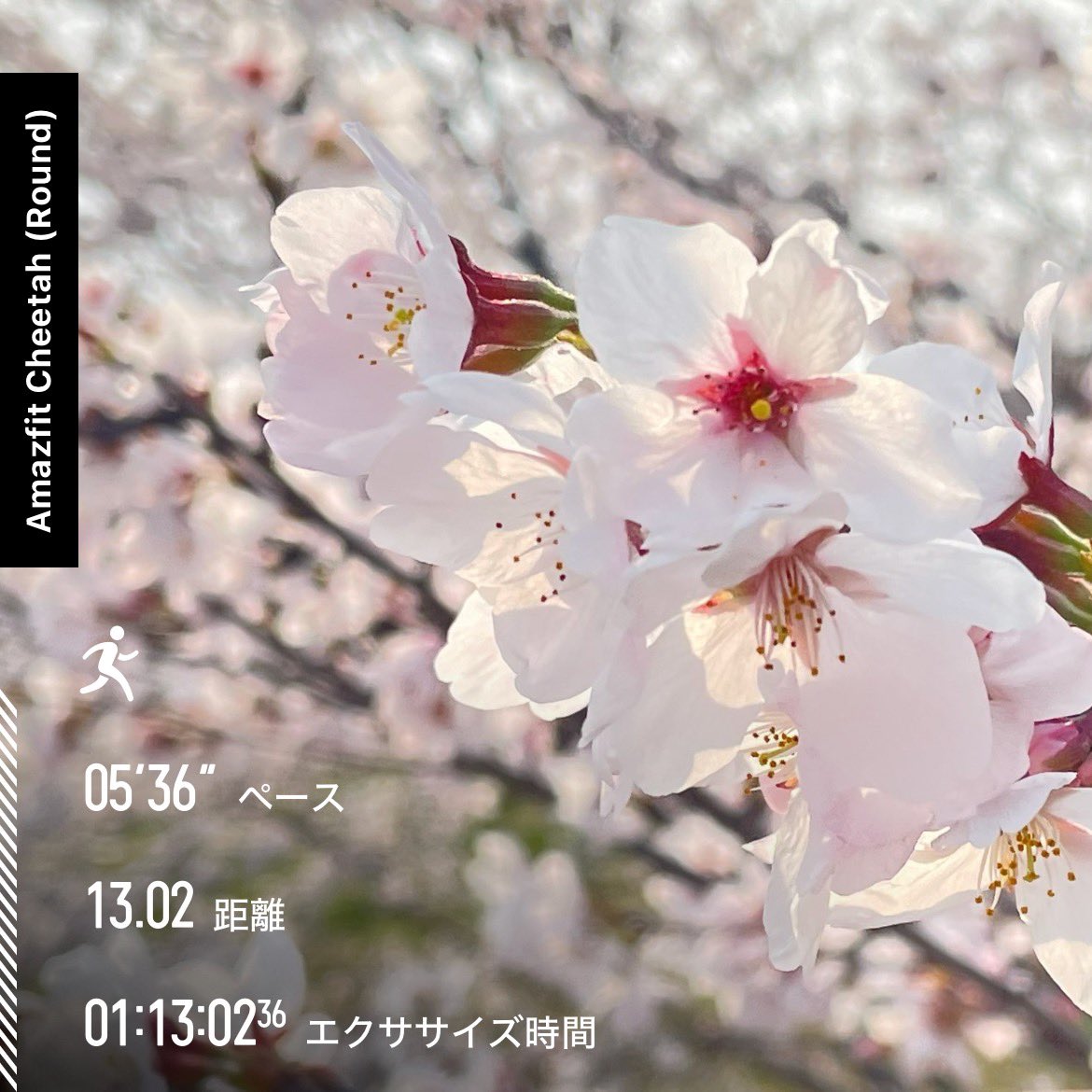 umex_sub4's tweet photo. 昨日は
妻の一周忌でした

今でも信じられないけれど
もう一年経つのかぁ

いつか思いっきり笑える日が来る時のために元気でいよう！

今の走る理由です https://t.co/9eVtD0ZBeg