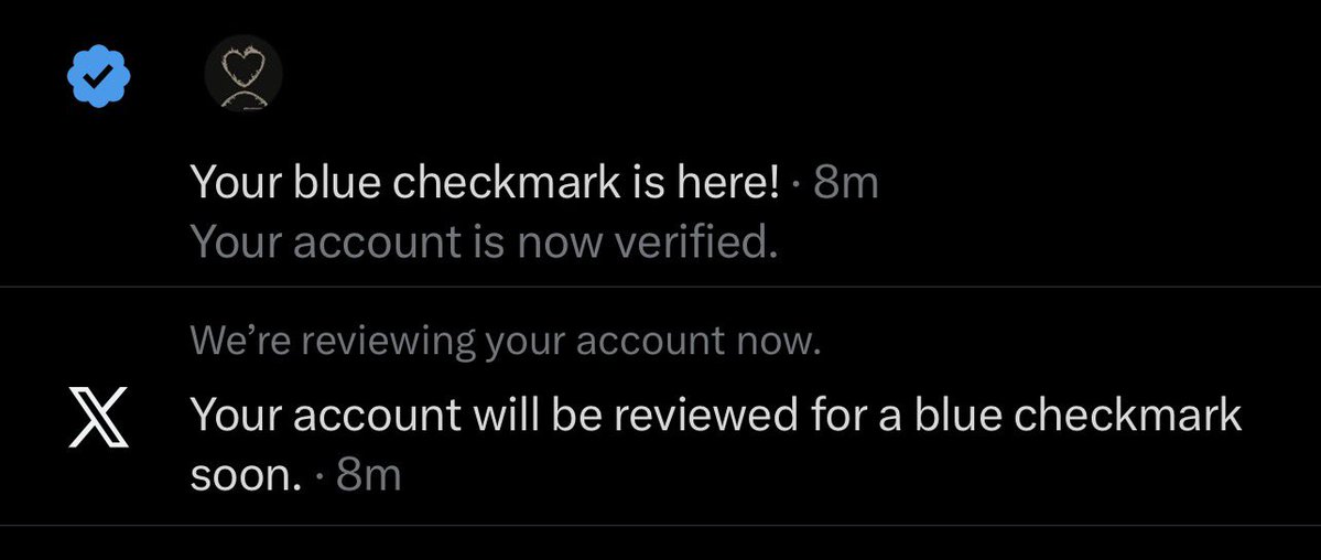 Big Dan〽️ tweet media