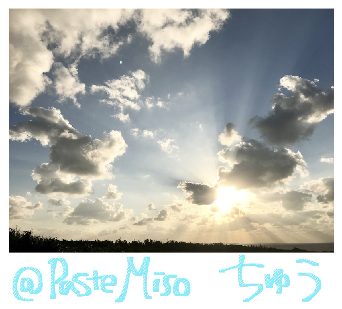 ちゅう/取引垢⚠️ツイフィ必読⚠️通知不具合ぎみ🙇‍♀️ tweet media