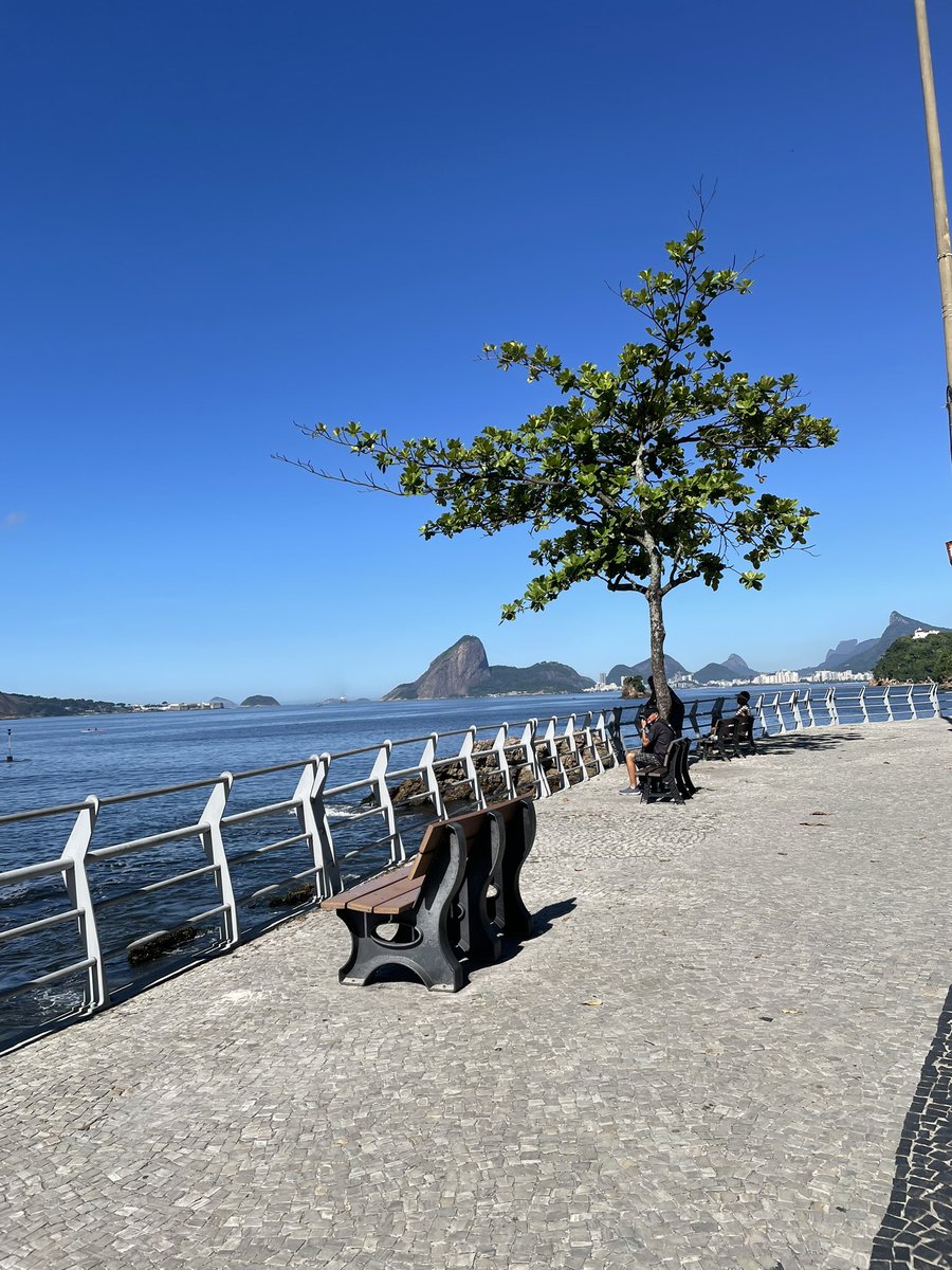 Dilza Bruno tweet media