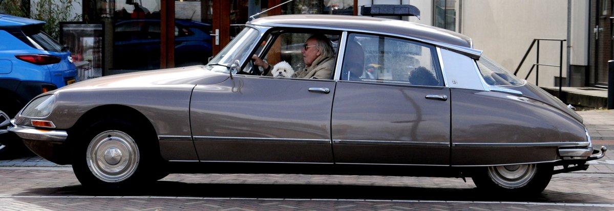 Ronald Puma tweet media