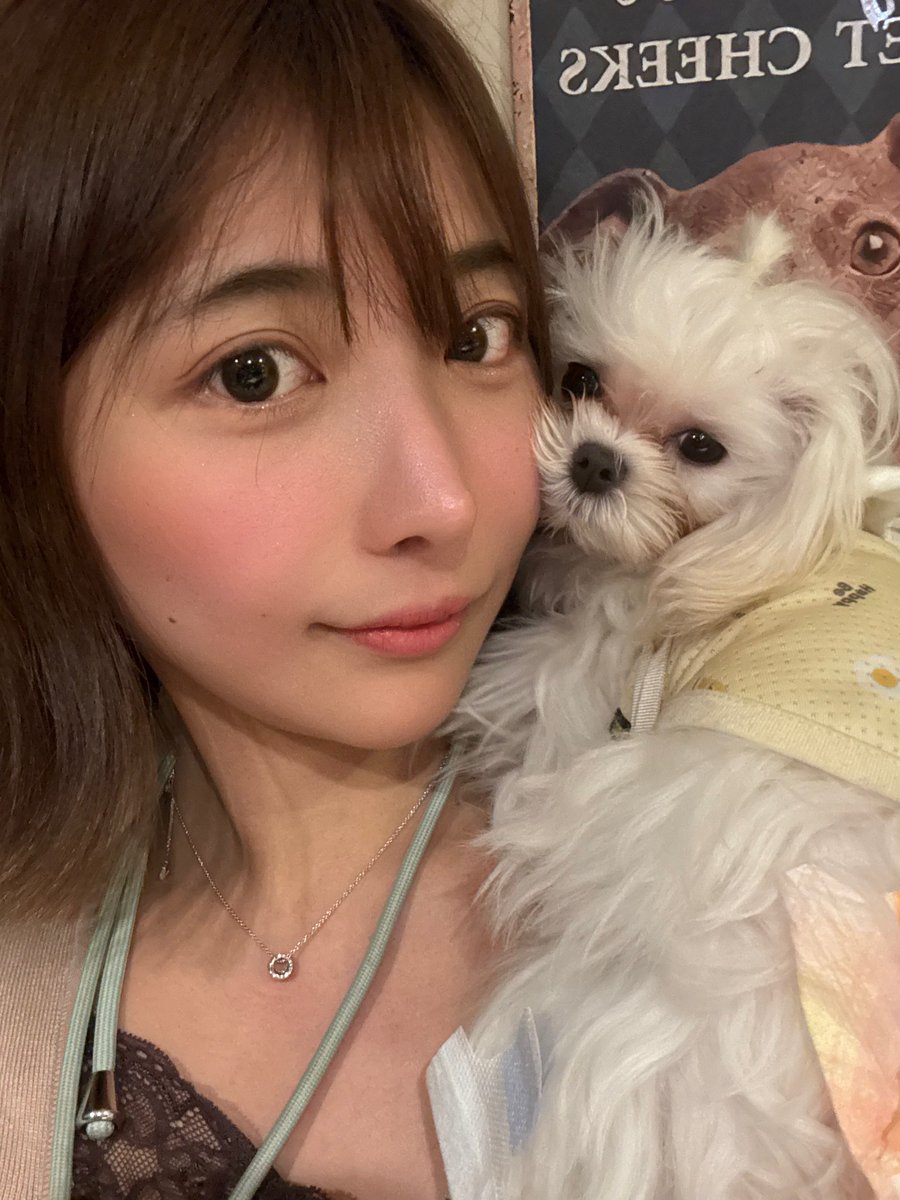 お花見したけど犬とお酒しかみなかった😌😌😌😌😌 https://t.co/44Q4V2YKln