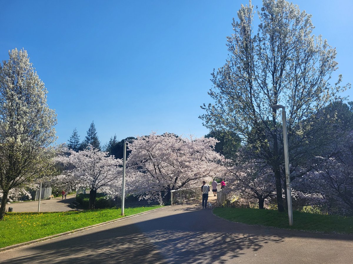 Donostilandia's tweet photo. Más primavera en #Riberas #Sanse #Donosti https://t.co/WDBPRS3FBF
