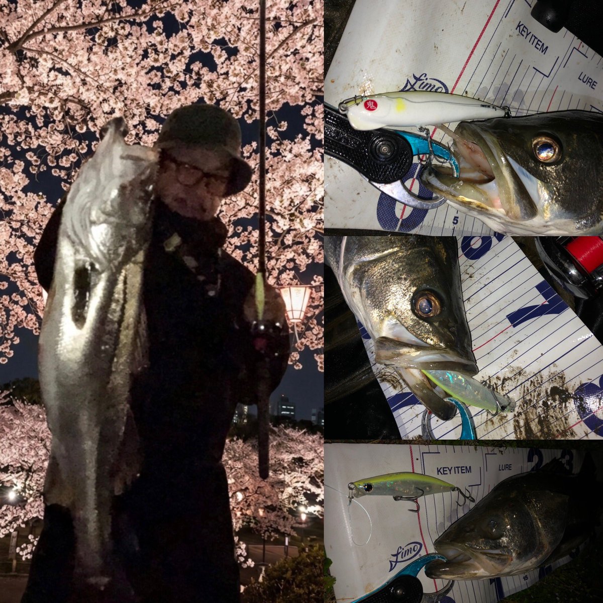 ケーマン＠シーバス初心者 tweet media