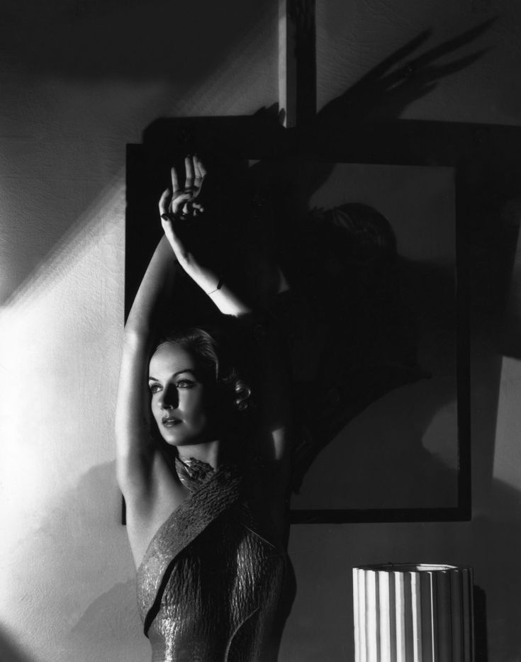 What're you giving me with the flying fish tweet media