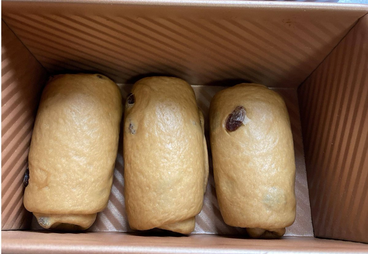 danes godoy tweet media