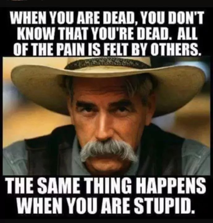 PeteM1961 tweet media