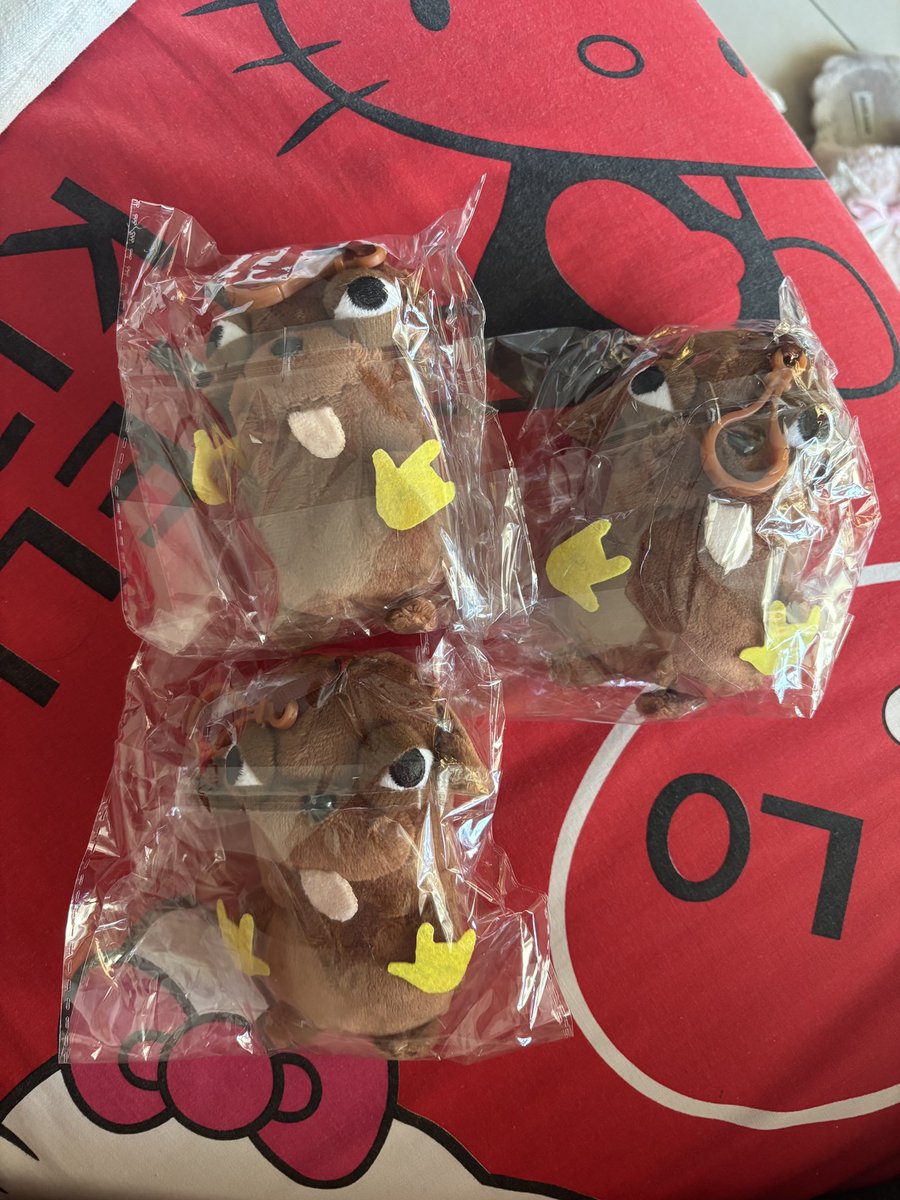 yol 𓆝 tweet media