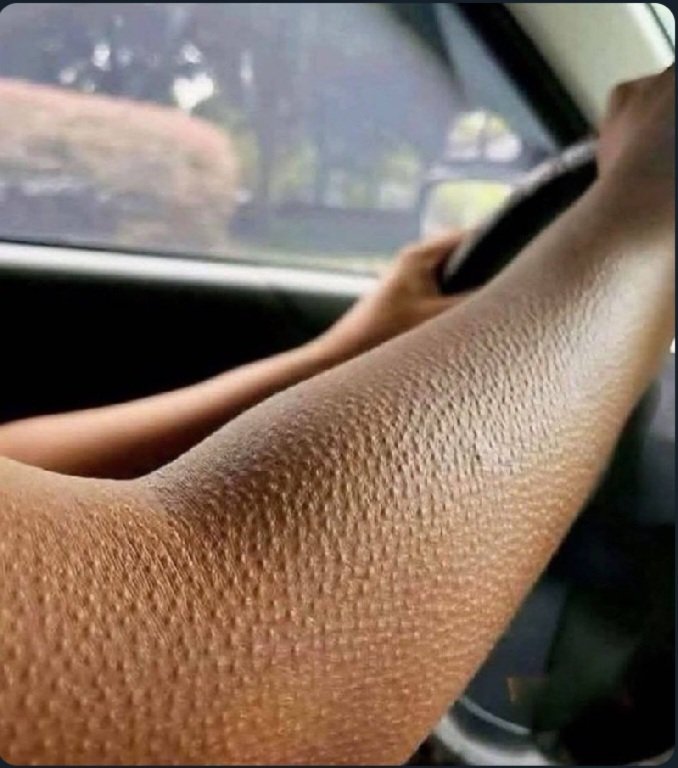 حٍوُرٍ 🇯🇴 🇯🇴♡ ᴬᴵᴴᴸᴬᴬ ᴰᵁᴷᵀᵁᴿᵁᴴ♡الُعٍيَن tweet media